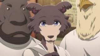 Beastars 第8話 感想 ジュノちゃん意外と野心家 ルイ先輩に宣戦布告 Wordpress