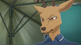 Beastars 第9話 感想 ルイ先輩の過去が壮絶 ハルちゃんみんなで助けに行こう Wordpress